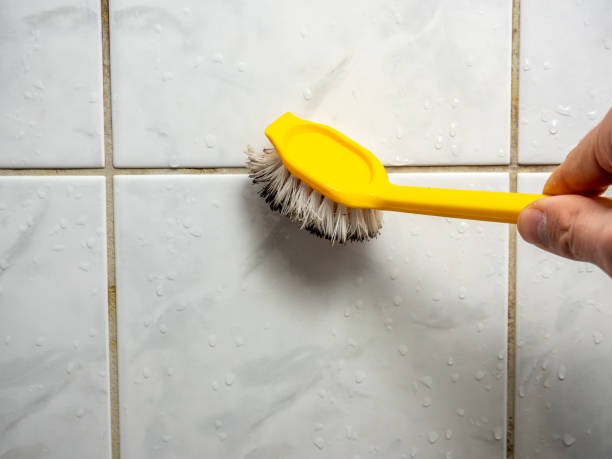 Best Professional Mold Removal  in West Hamburg, PA