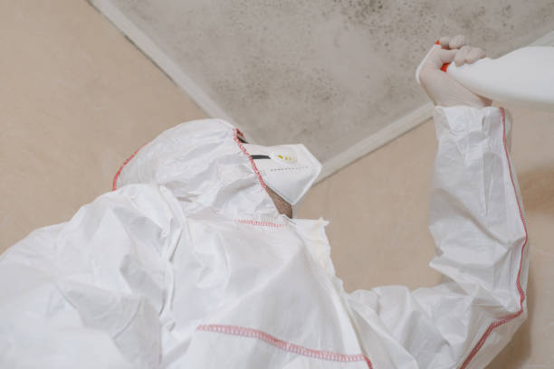 Best Emergency Mold Removal  in West Hamburg, PA